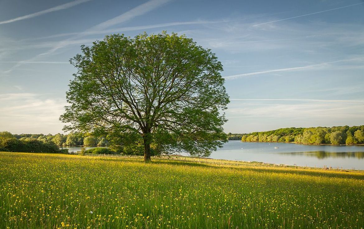 Pitsford Journeys