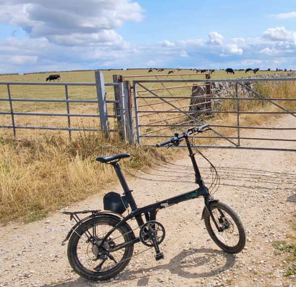 folding electric bike